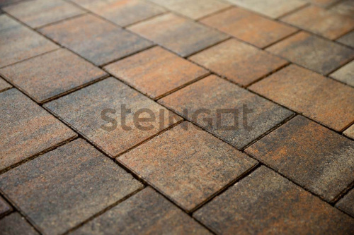 ���������� ������ Steingot ����� ����� 60 ����� ���� ����� ����� ��������� �������