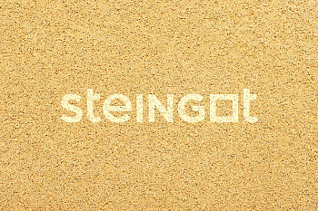 ��������� ������ Steingot ������� 500�200�80 ��. "������"